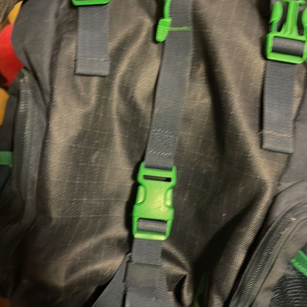 Nixon Backpack - image 5